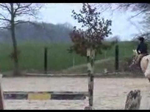 concours d'hunter du 11/03/12 en club poney 1
