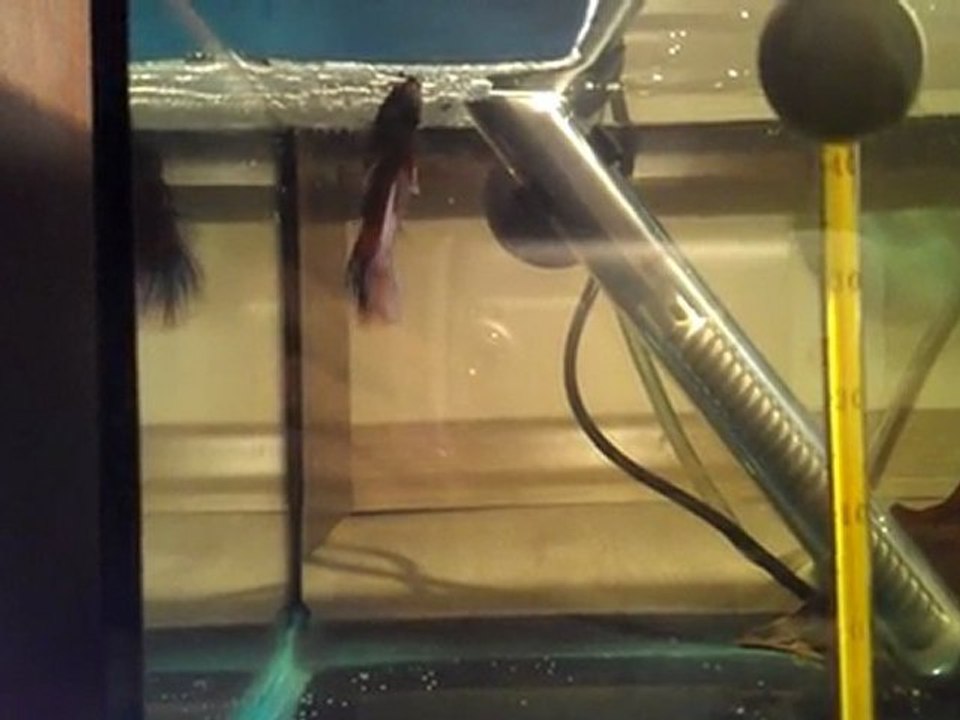 VIDEO0026