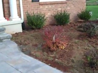 UNITEDCORP OF NEW JERSEY