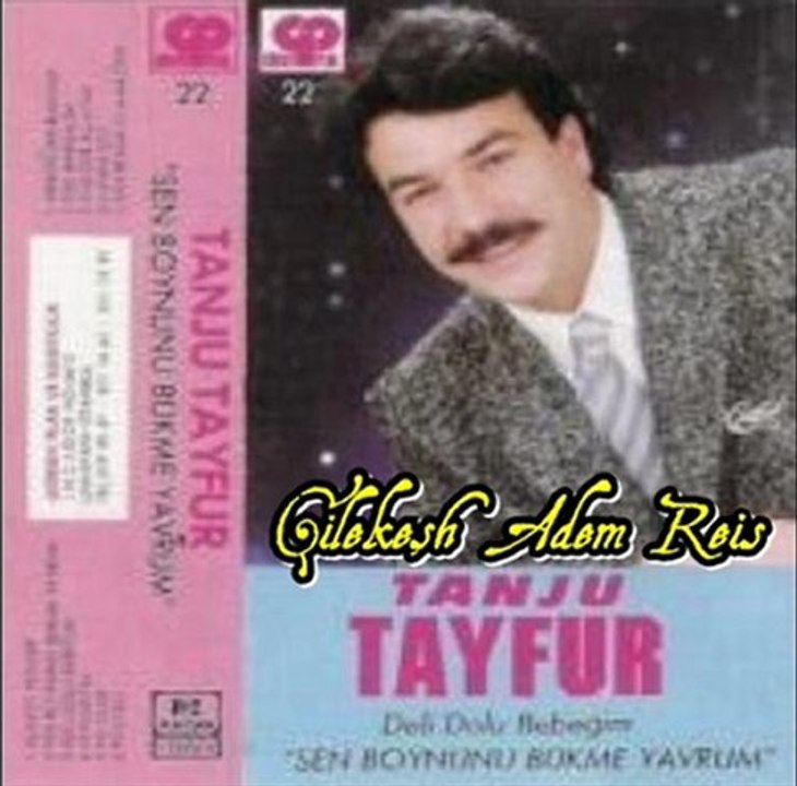 Tanju Tayfur - Postacı