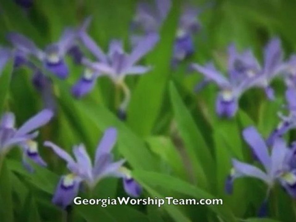 Georgia Worship Team: Healing In The Sound