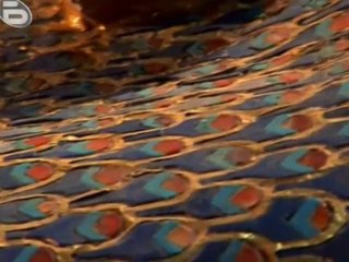 National Geographic - Special - Nefertiti And The Lost Dynasty