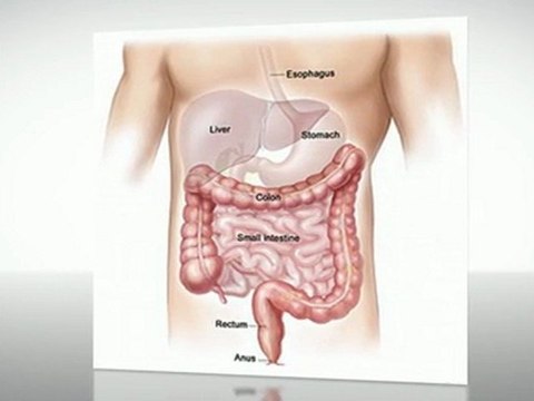 Bowtrol Reviews-Check Out This Great Offer Bowtrol Reviews