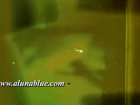 HD Stock Video - Flicker clip 12 - Video Backgrounds