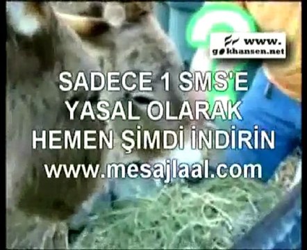 2012 EĞİTİM 4+4 SİSTEMİNE GÖRE OKUMA YAZMA ÖĞRETEN ÇOCUK ŞARKILARI