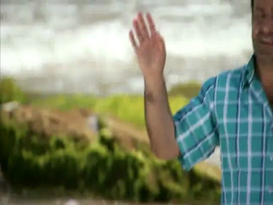 Cimilli İbo - Bir Melekten Farkım Yoktur