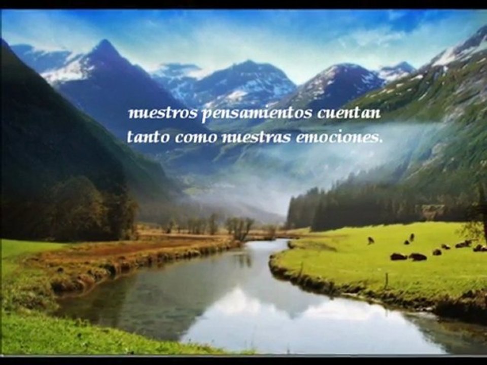 Inteligencia Emocional (Emociones II)