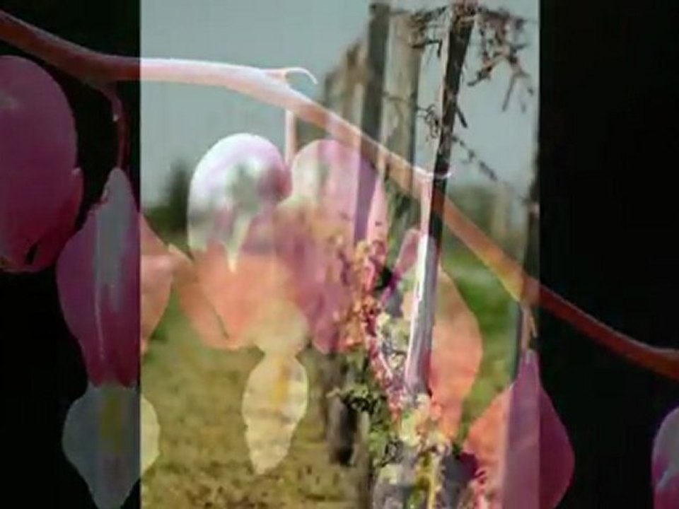 premier essai de montage