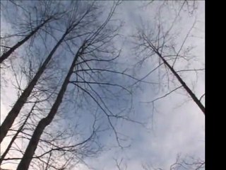 Volkan Arslan - Karlı Dağlara