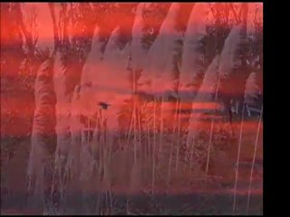 Volkan Arslan - Vay Beni