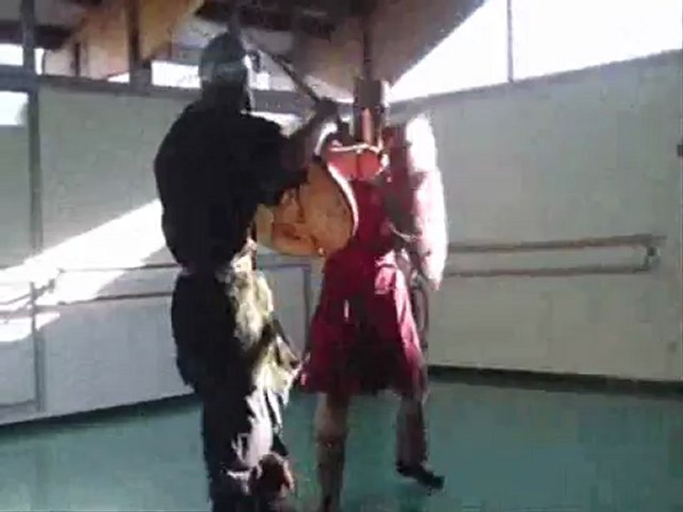 Duel Chevalier Serrières de Hilaire contre Grimnir