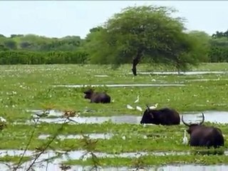 Pluies diluviennes en Equateur: au moins 24 morts