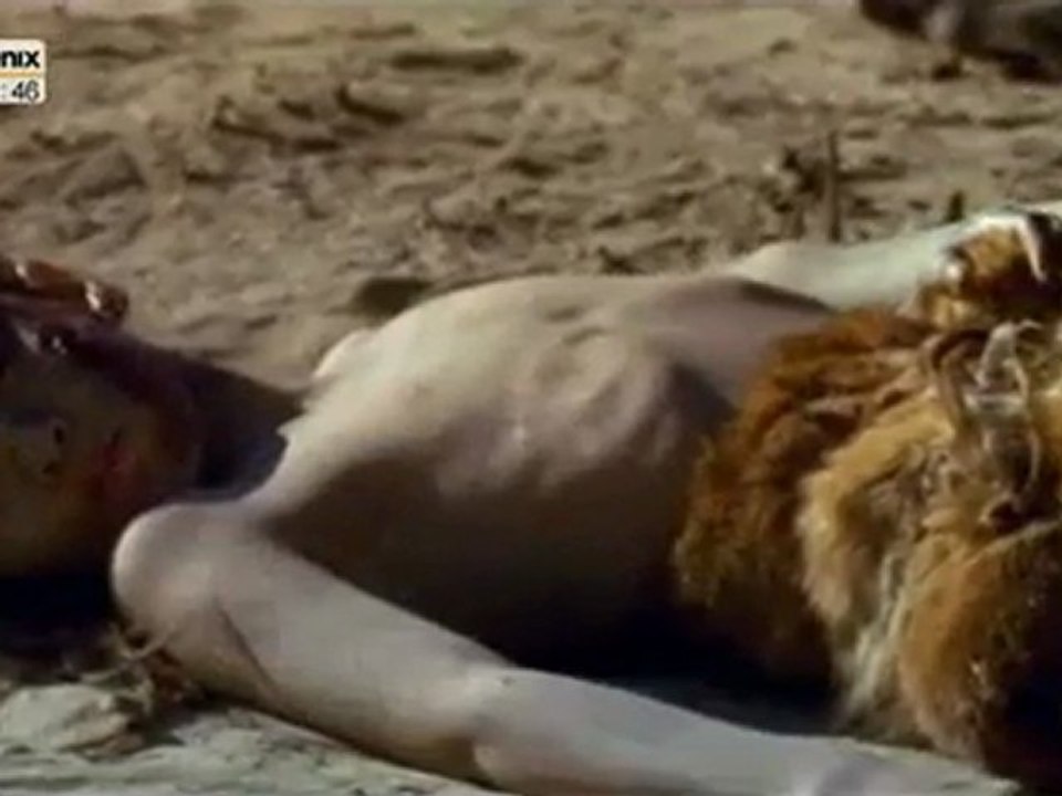 Homo Sapiens 1 - Teil 2 von 4.flv