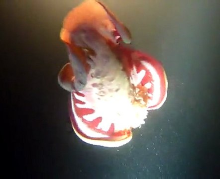 danseuse espagnole de nuit dans le lagon St-Pierre ( Réunion )