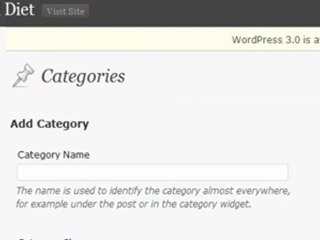Install Word Press Themes