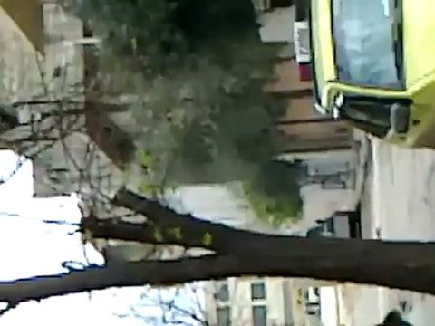 فري برس حماه المحتلة مواجهات أهالي العليليات مع الامن والشبيحة في جمعة خذلنا المسلمون والعرب 30 3 2012