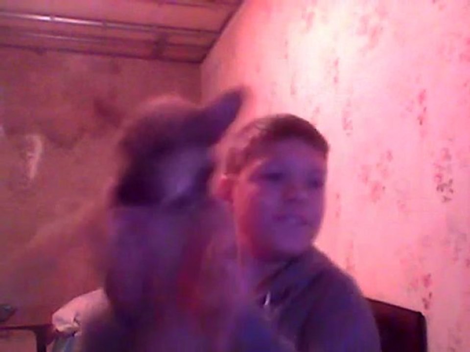 Best dog dance EVER!!!! IN HD -Kharkov ,Ukraine