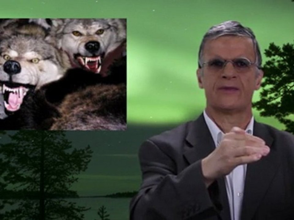 Yvan et les loups