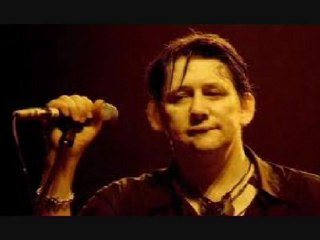 Shane Mac Gowan :  Sous le Soleil Exactement...