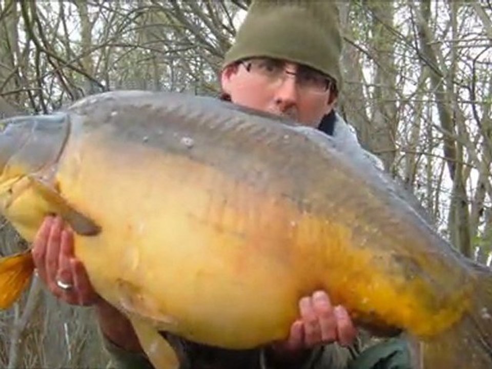 Carpe mars 20 KG