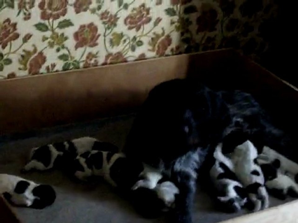 MAMAN ET LES BEBES A LA TETEE LE 31 MARS