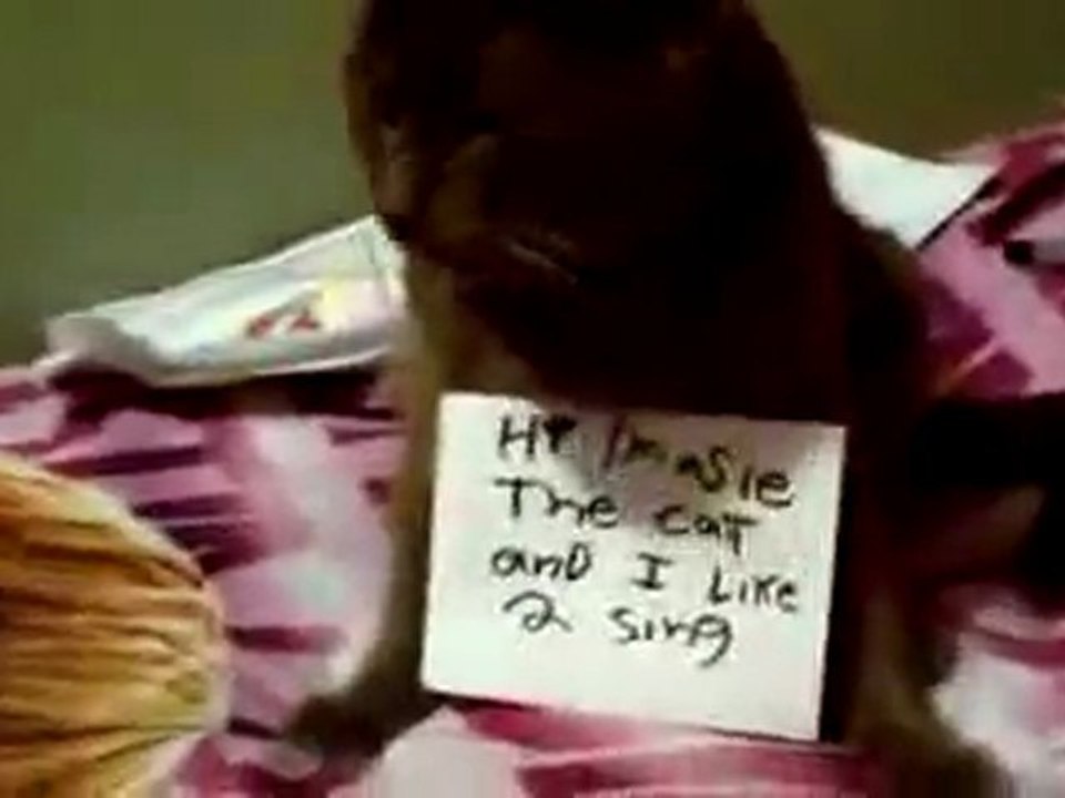 hi i'm a singing CAT!!!!!!!!!!! [Reupload]