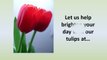 Spring Tulip Bouquets & Arrangements in Spokane from Jackie Lynn’s