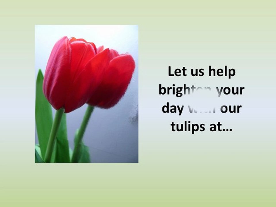 Spring Tulip Bouquets & Arrangements in Spokane from Jackie Lynn’s
