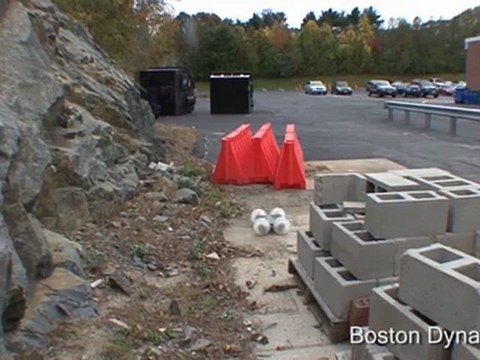 Sand Flea Jumping Robot