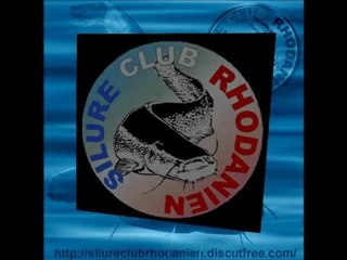 Silure Club Rhodanien : Fiction ou réalité