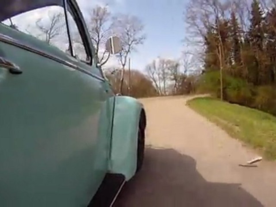 dub bug hank