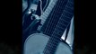 LE PETIT PRINCE reprise version acoustique guitare
