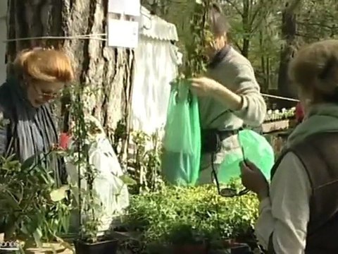 Fête des Plantes Vivaces 2012 (Saint-Jean-de-Beauregard)
