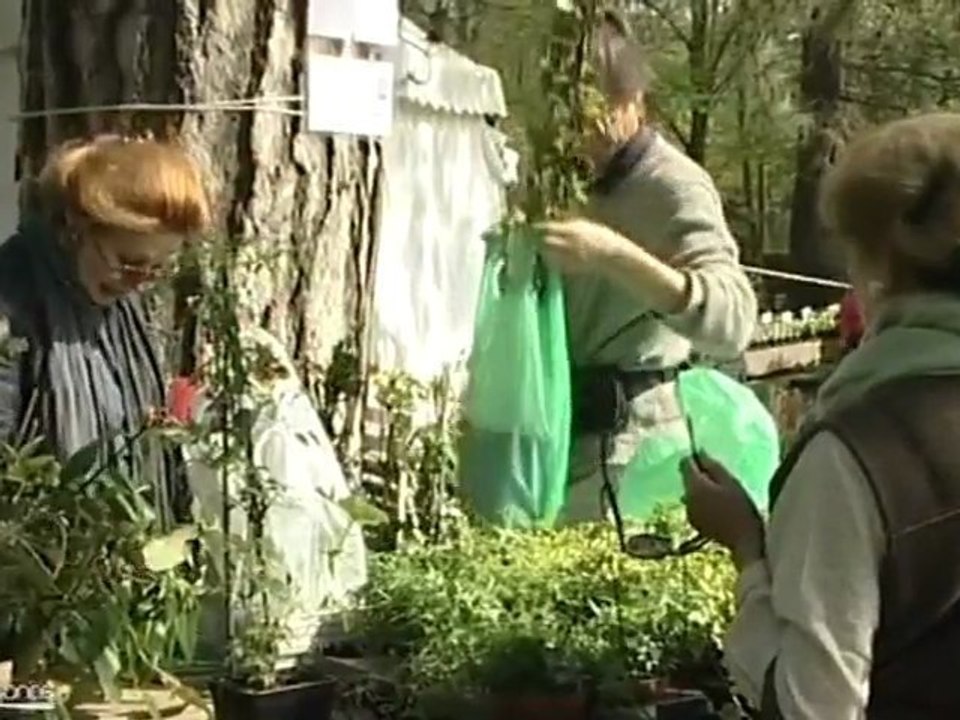 Fête des Plantes Vivaces 2012 (Saint-Jean-de-Beauregard)