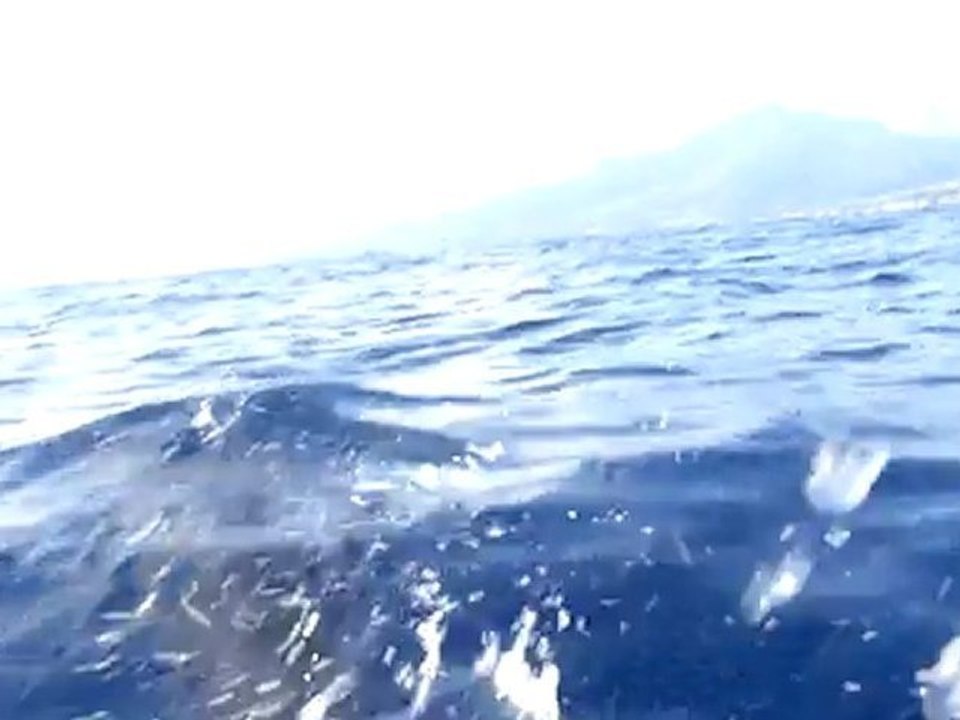 P8170083