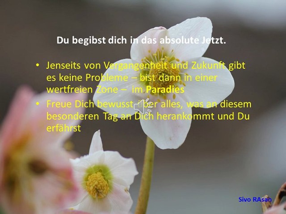 Bewusstseinserweiterung 1- Die Freude des Jetzt