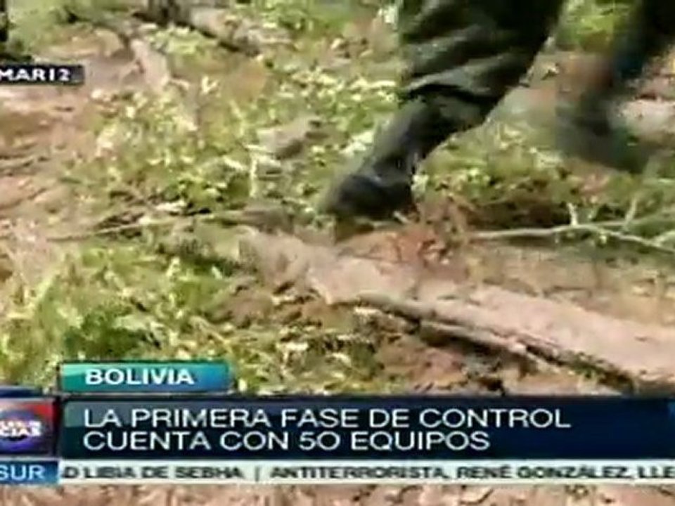 Bolivia evita que se expanda cultivo ilegal de hojas de coca