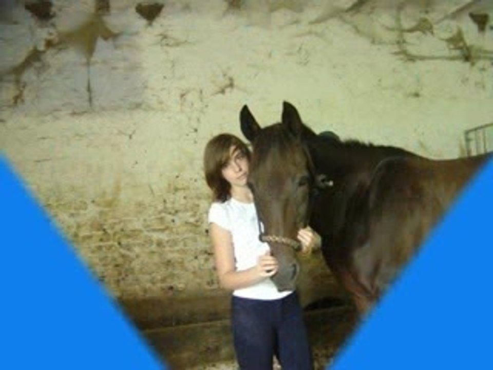 Je t'aime