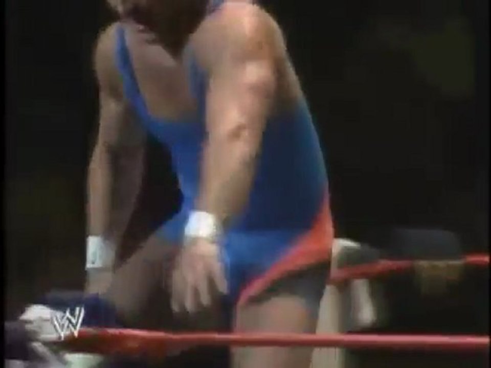 WWE-Universall - Bret Hart vs. Mr. Perfect (WWF 1989)