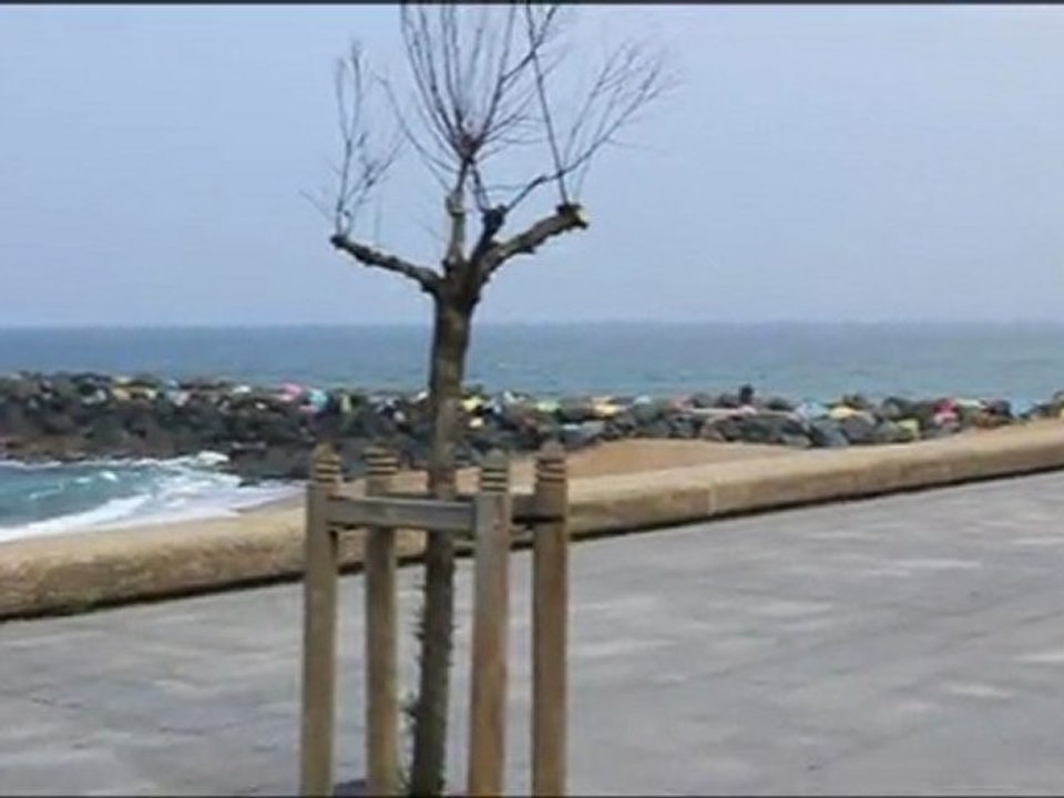 dimanche  1 AVRIL  surf report vidéo enregistré à 11h30