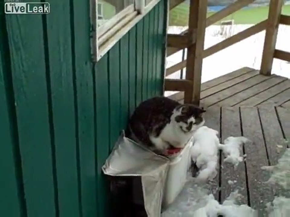 Visite de Mr Aigle et Mr Renard