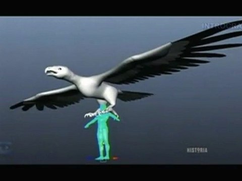 Bêtes de Légende, L'oiseau monstre - 3 de 3