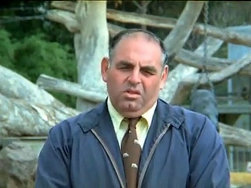 Koko, der sprechende Gorilla 7/8