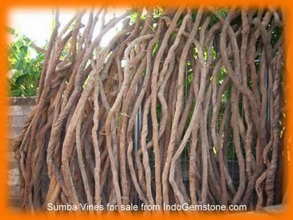 Sumba Vines