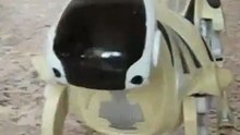 Robot Dog