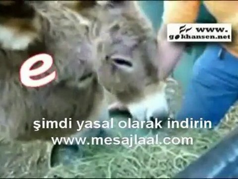 İlkokuma Okuma yazma öğretimi 1. GRUP e-l-a-t ŞARKISI VIDEO KLİBİ