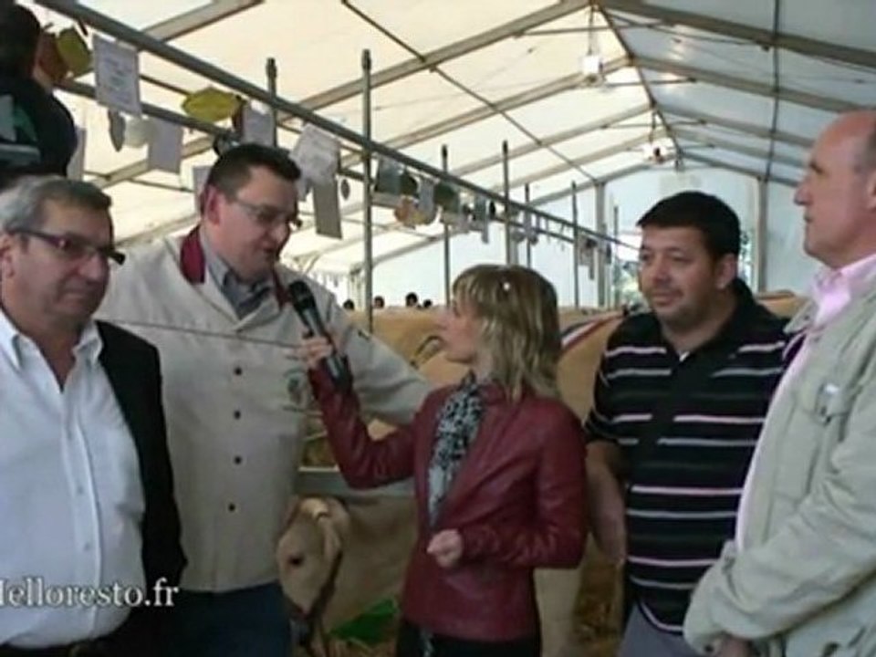 Helloresto à la fête du charolais 2011