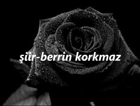 Ey sevgili- Siir-Berrin Korkmaz-
