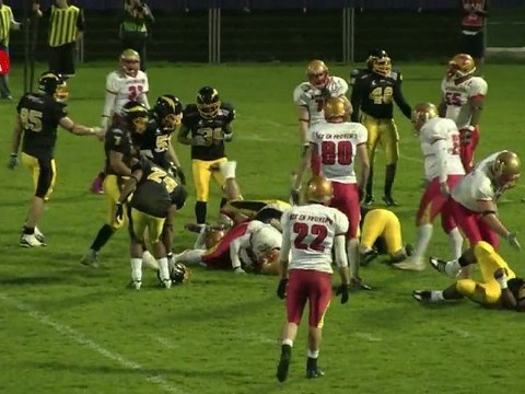 QT4 Flash vs Argonautes