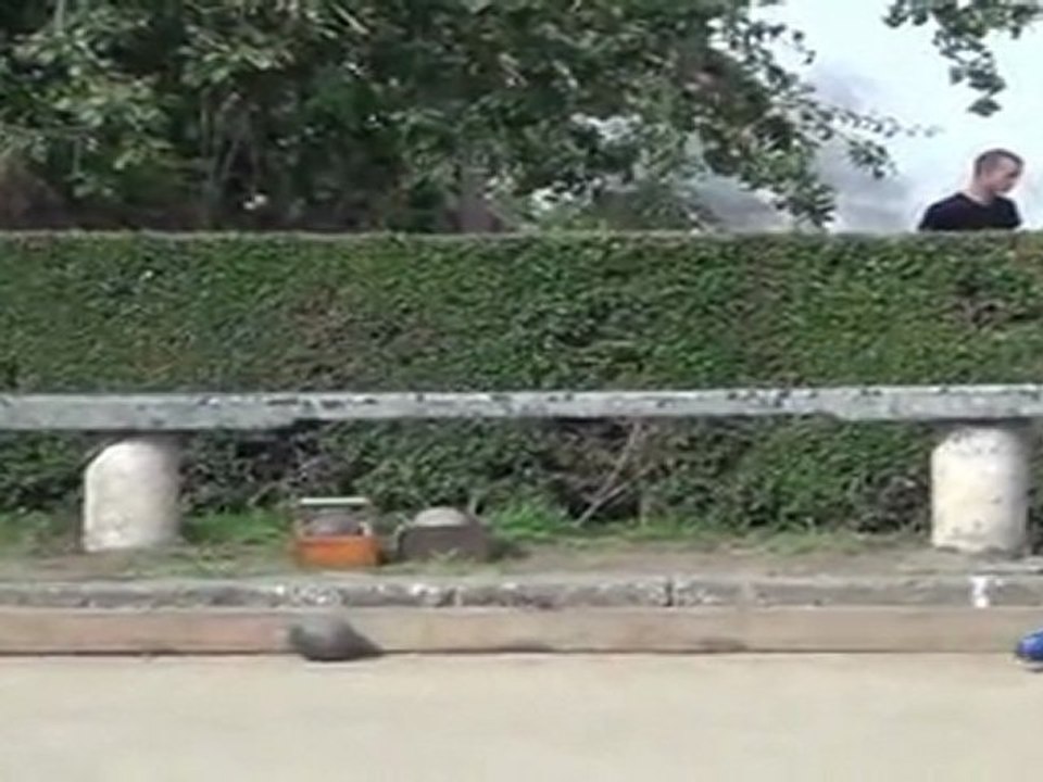 15/08/2011 - Concours de boules plombées à Saint Jean du Doigt